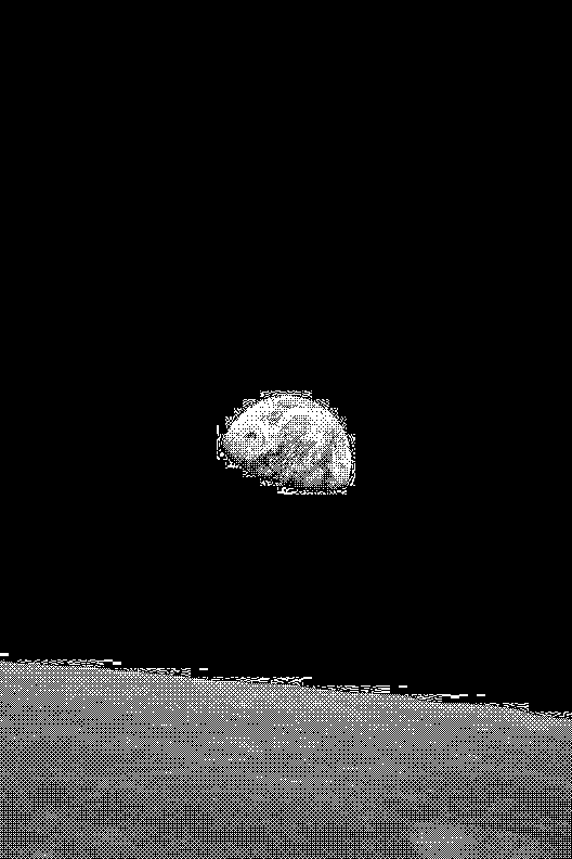 The Earthrise photo shown full screen in Photos